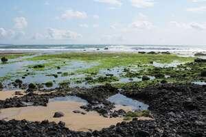 WOW!!! Pantai ''Tiga Warna'' di BANYUWANGI (++Pic)