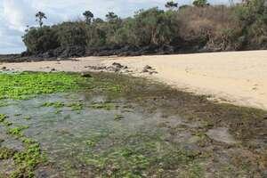 WOW!!! Pantai ''Tiga Warna'' di BANYUWANGI (++Pic)
