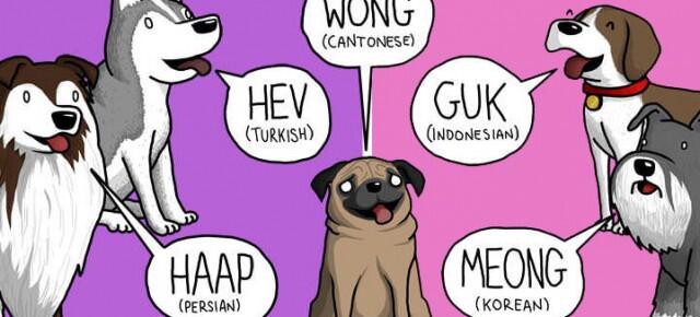 Ilustrasi Suara Binatang dalam Berbagai Bahasa