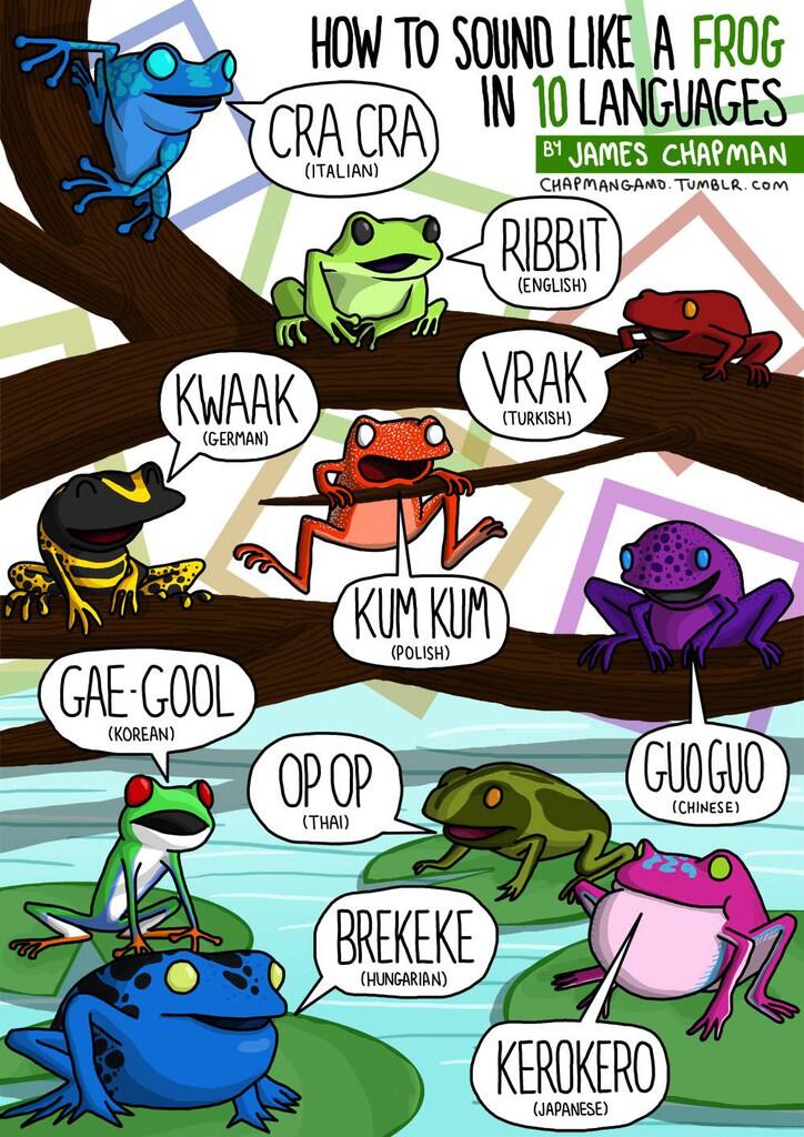 Ilustrasi Suara Binatang dalam Berbagai Bahasa