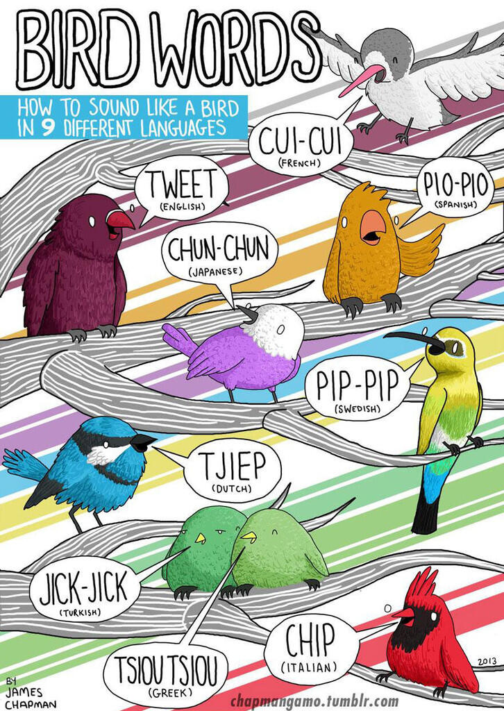 Ilustrasi Suara Binatang dalam Berbagai Bahasa