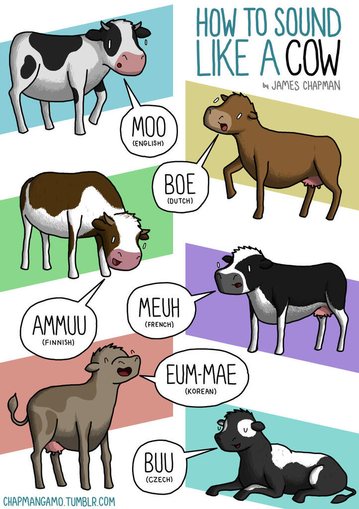 Ilustrasi Suara Binatang dalam Berbagai Bahasa