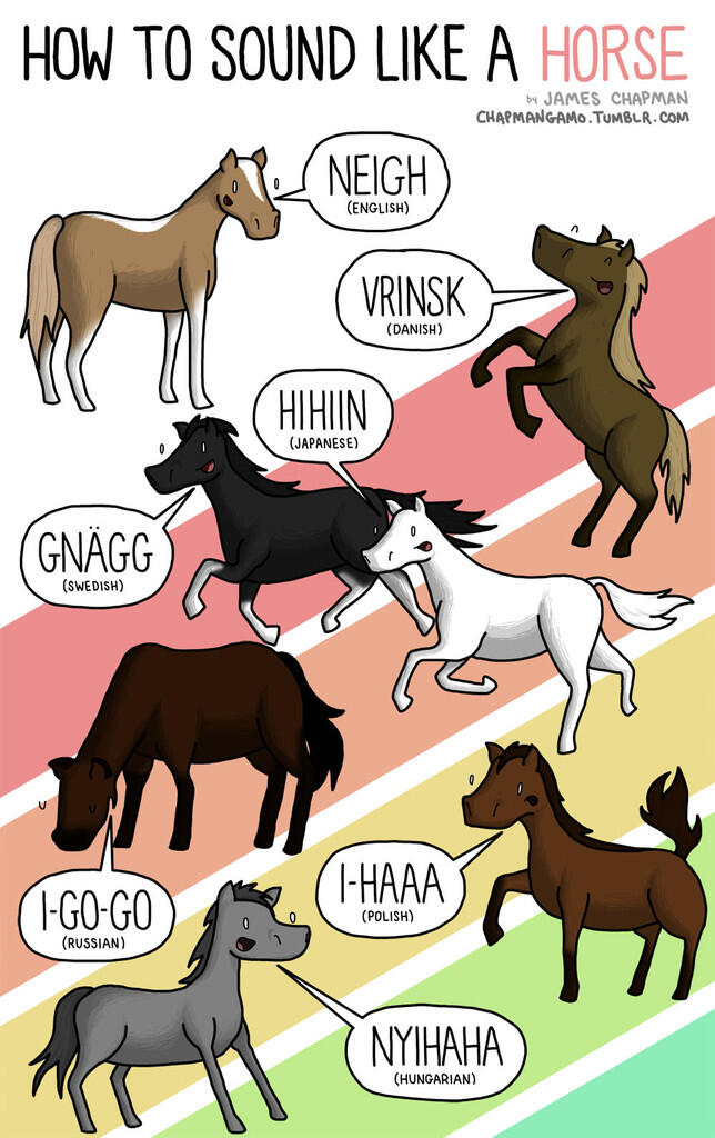 Ilustrasi Suara Binatang dalam Berbagai Bahasa