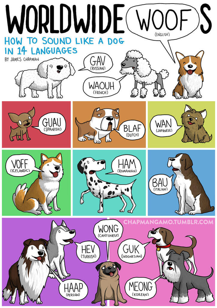 Ilustrasi Suara Binatang dalam Berbagai Bahasa