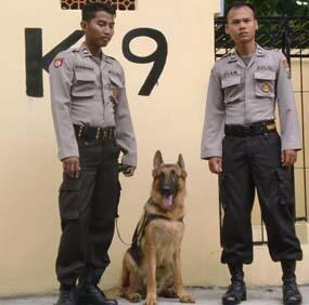 Foto Telanjang anggota Polisi Asisten Pribadi ***NO BB***