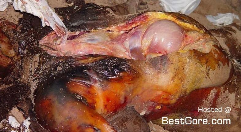 Kau Adalah Belahan Jiwa, Ku Tau Itu Sayang Sedari Dulu