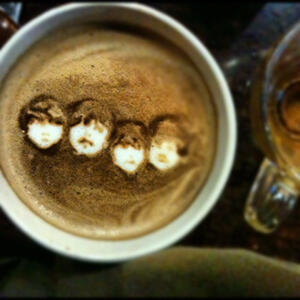 Ngopi ALa Beatles