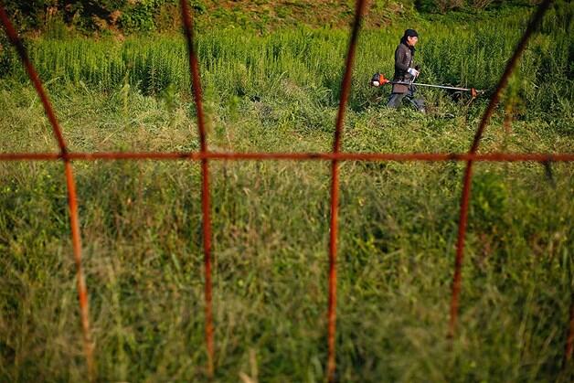 FUKUSHIMA: DALAM BAYANGAN RADIASI