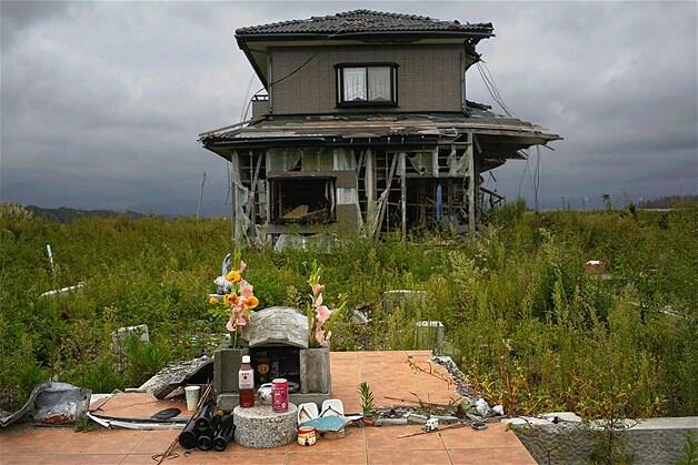 FUKUSHIMA: DALAM BAYANGAN RADIASI