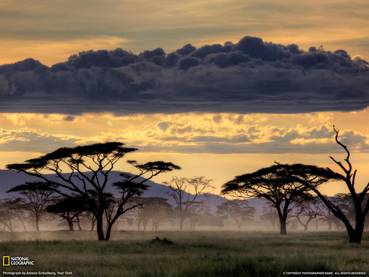 Hidup Itu Keras, Begitu Pula di Serengeti...Neraka Para Singa (With Pic++)