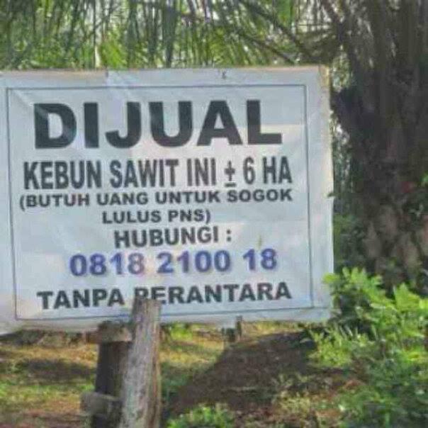 Tolongin Ane Banget Gan, Pliss Masuk Dulu Yak!!