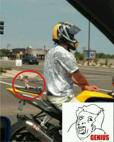 (HOT) Gambar gambar lucu terbaru