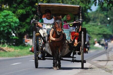 Kalo yang beginian masuk jalur Busway, agan bakalan ngapain gan ?