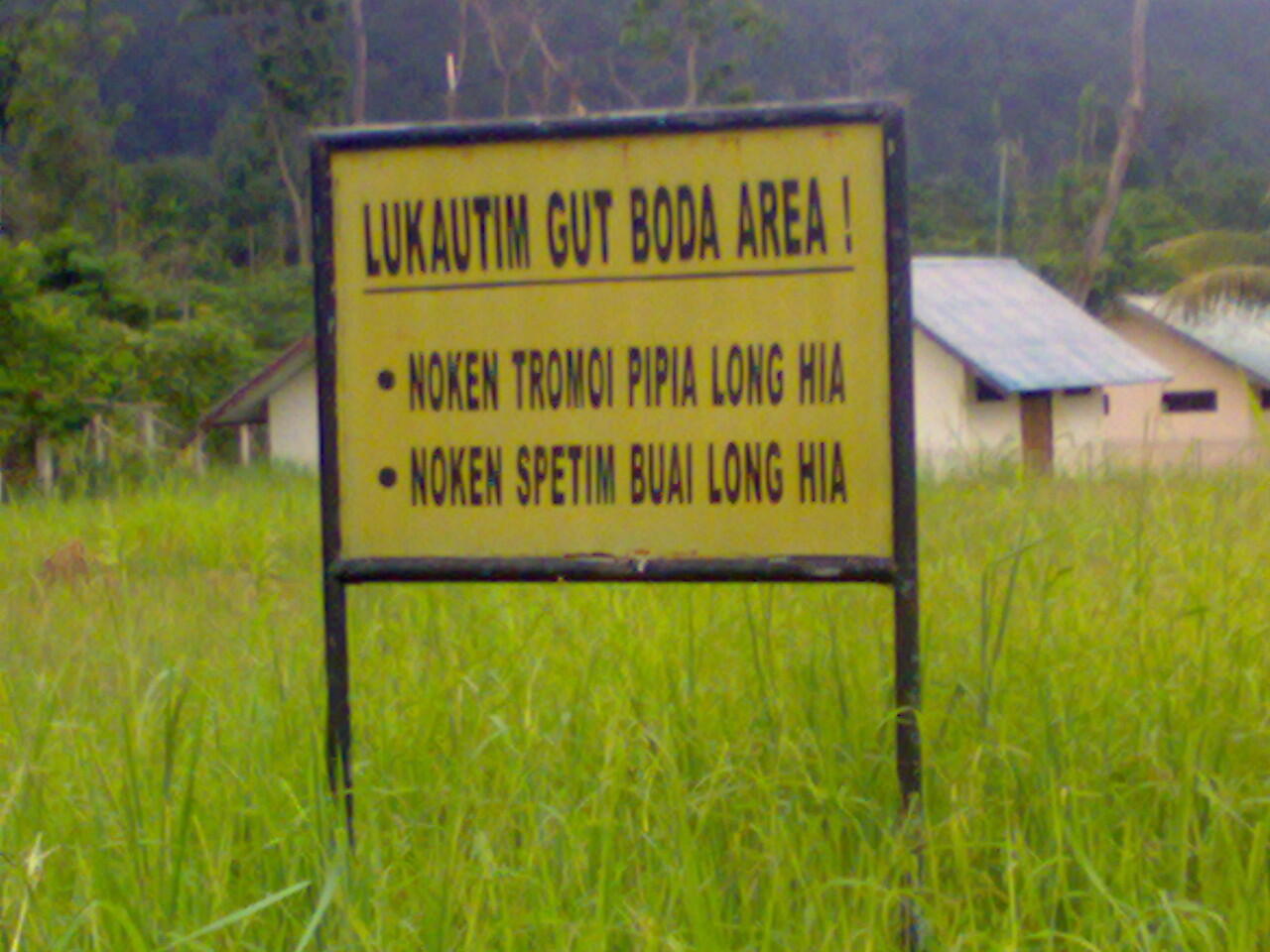 Jayapura in not JUNGLE 