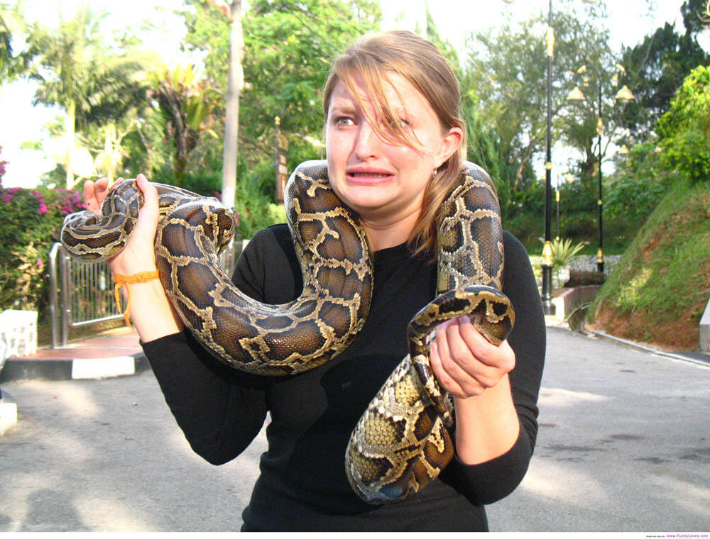 Takut ular? Masuk sini, gan!