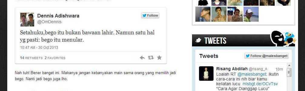 Tentang Kebegoan
