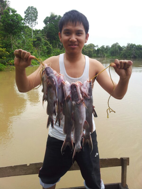 Diskusi n Konsultasi Seputar Mancing di Setu, Rawa, Danau, dan Sejenisnya.