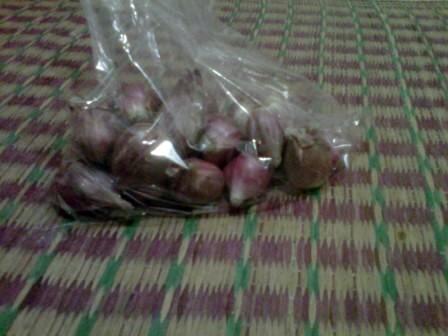 &#91;TIPS&#93; Manfaat Bawang Merah Bagi Kesehatan Mata