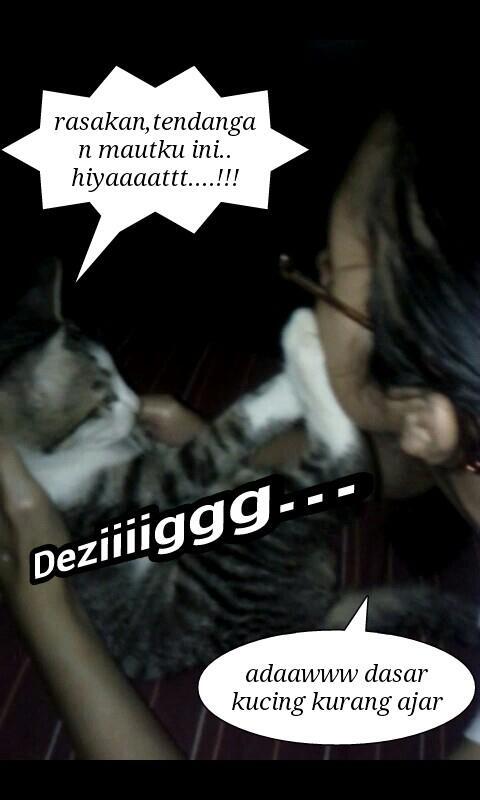 Ane Kangen Kucing Ane yang Hilang