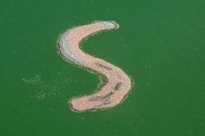 5 Pulau Hasil Rekayasa Manusia