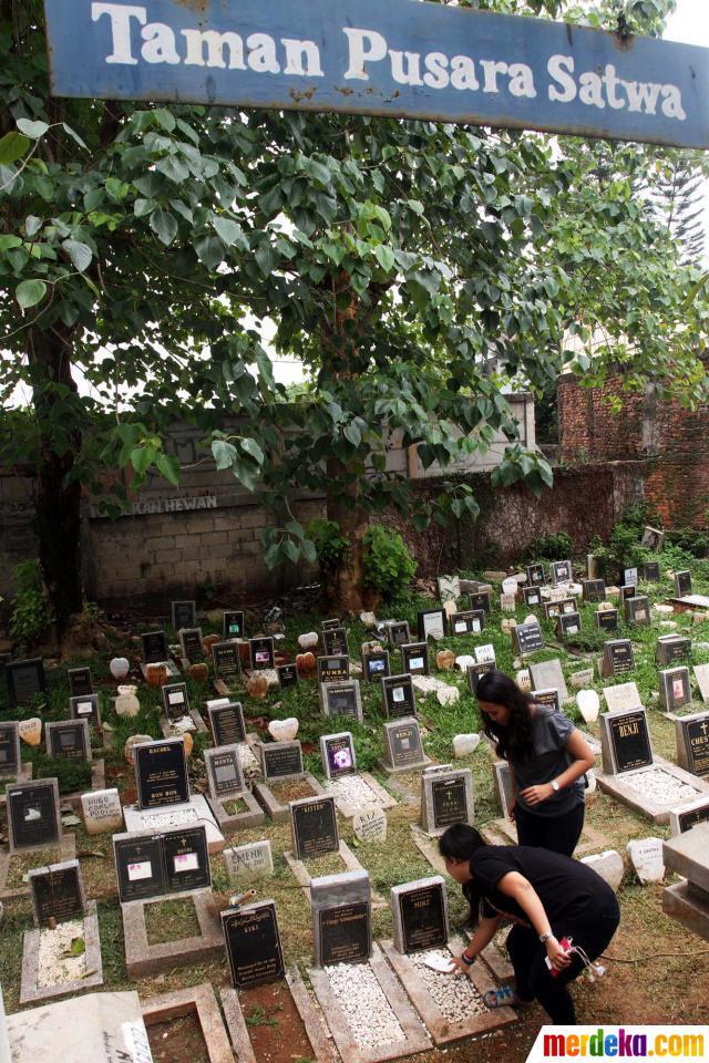Ngintip Kuburan Satwa Berbiaya 450 Ribu Pertahun di Ragunan (Ada Aja Kelakuannya)
