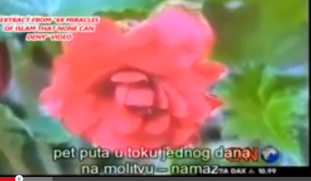  Aneh, Bunga Bunga Ini Selalu Mekar Ketika Adzan