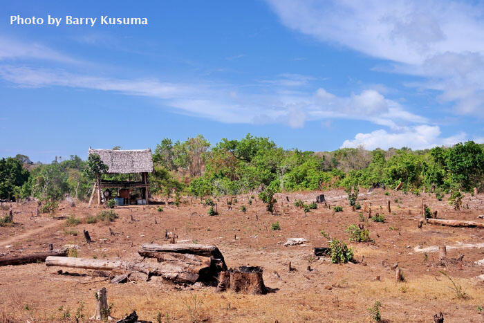 Pulau Moyo &quot;Great Escape&quot; para Bintang &amp; Selebritis dunia.