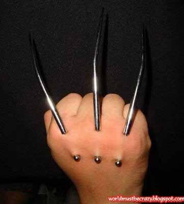 wolverine di dunia nyata,,