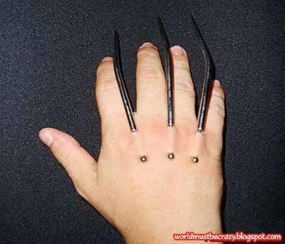 wolverine di dunia nyata,,