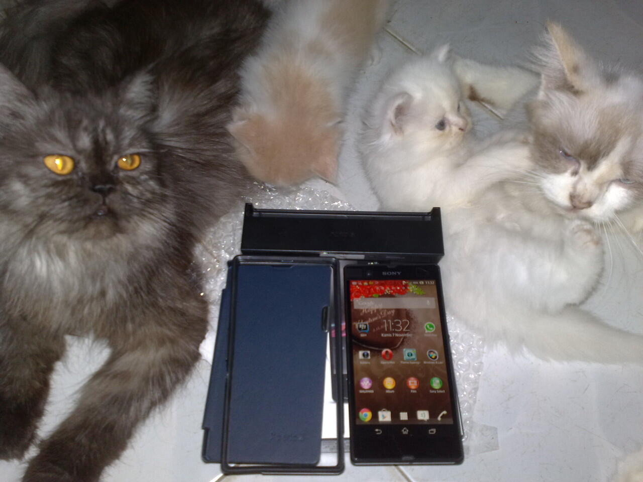 Nokia C5-03 Green Mulus Fullset Ex Garansi Resmi + Bonus (Di Lihat Dulu Gan)