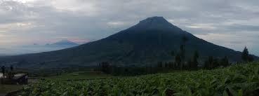 Temanggung - Wonosobo, Switzerland Van Java