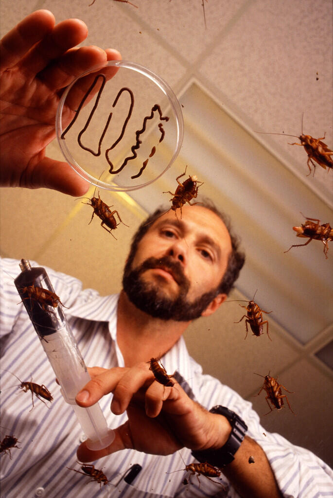 ::::Hii, Kecoa Kini Dijadikan Bahan Produksi Kosmetik::::