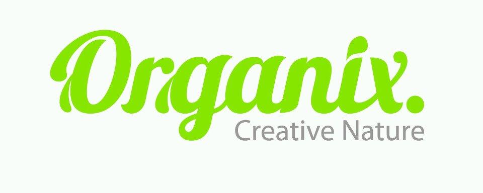 Organix Digital Agency (Web Development, Software & Application Media Development)