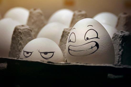 photo-photo unik, kreatif and lucu dengan Telur sebagai objeknya.