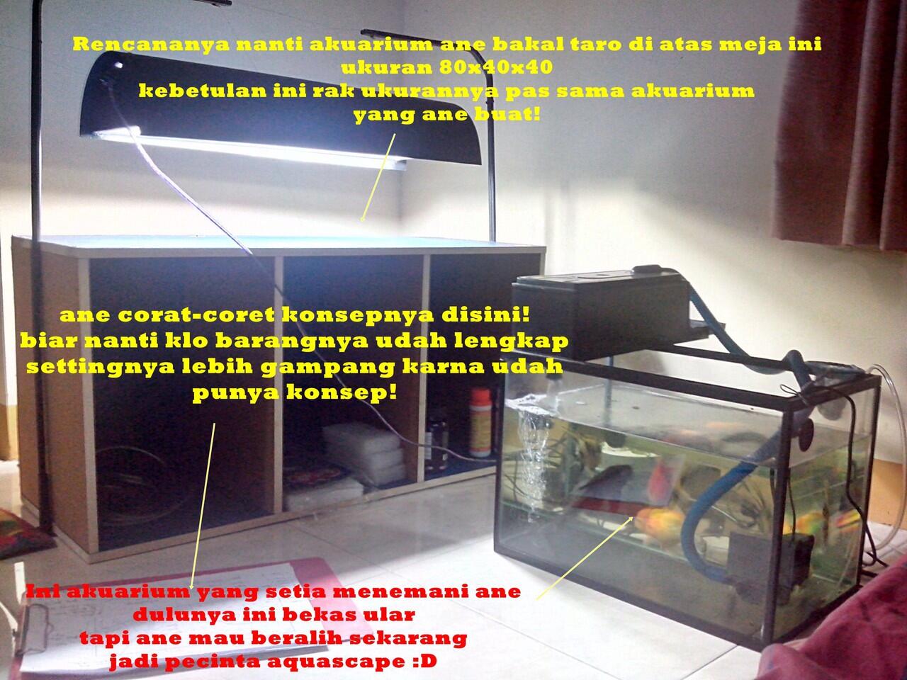 AQUASCAPE, Pesona Taman Di Dalam Akuarium &#91;Must See!!!&#93;