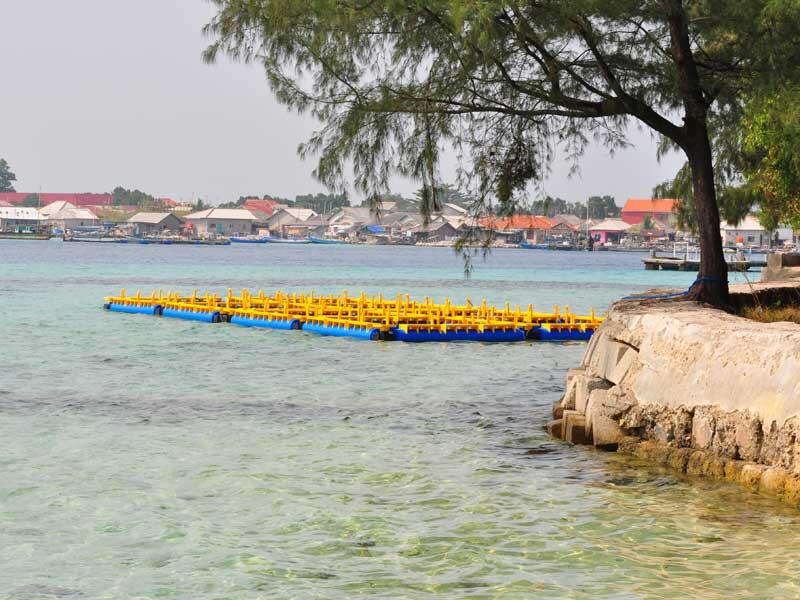&#91;FR&#93; kepulauan seribu (pramuka, air, semak daun, tidung)