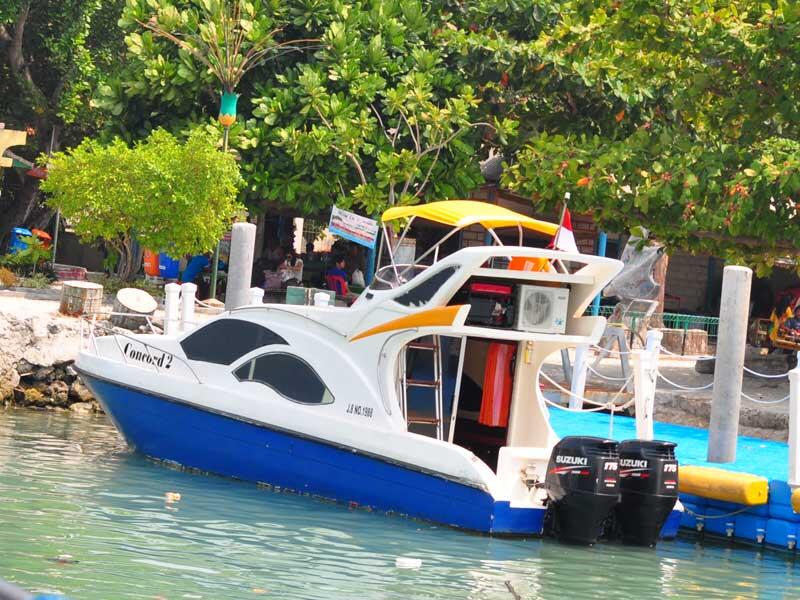 &#91;FR&#93; kepulauan seribu (pramuka, air, semak daun, tidung)