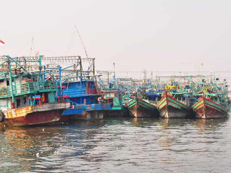 &#91;FR&#93; kepulauan seribu (pramuka, air, semak daun, tidung)