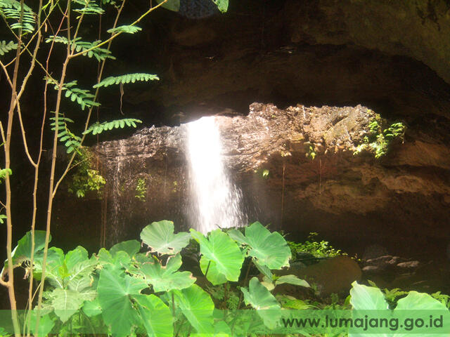 Wisata Kabupaten Lumajang