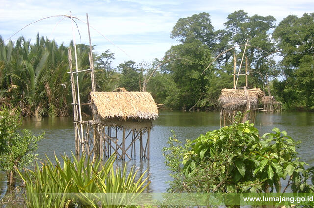 Wisata Kabupaten Lumajang
