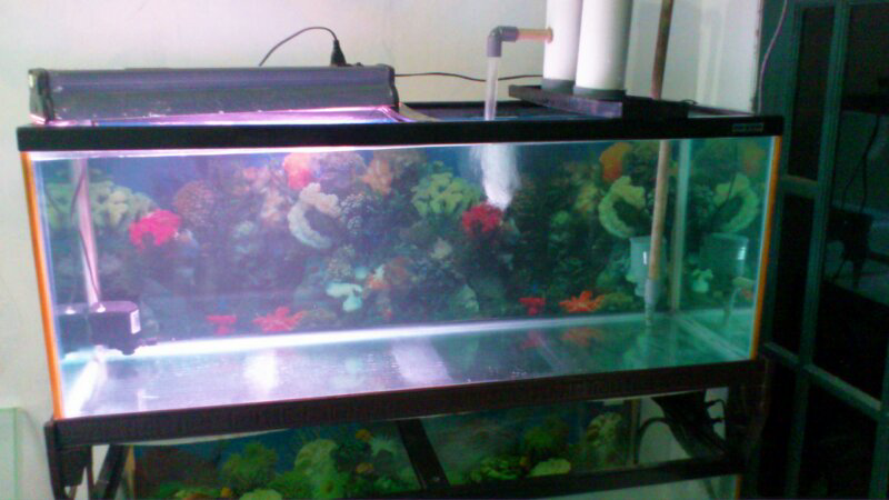 JUAL AQUARIUM 120cm! 2 unit murah (BEKASI)