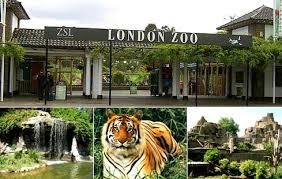 Jalan - jalan Regent’s Park London nyok...
