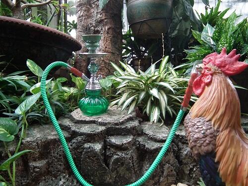 jual shisha super murah bagus Rp 180.000