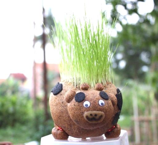 Boneka Horta. Boneka Imut yang bisa tumbuh rumput di badannya!