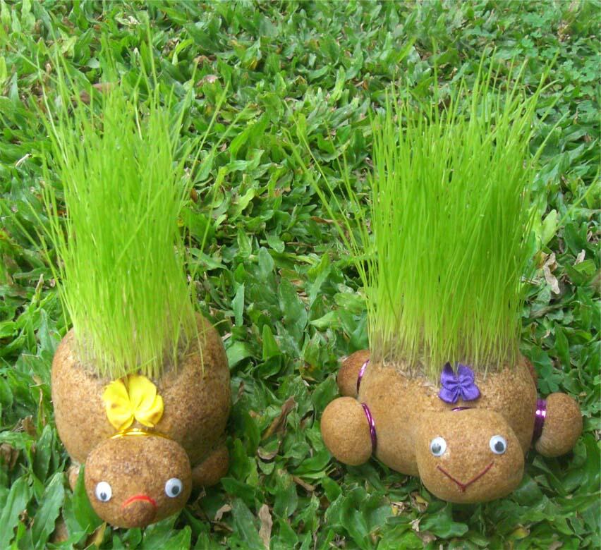 Boneka Horta. Boneka Imut yang bisa tumbuh rumput di badannya!
