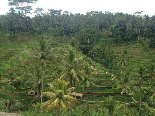 Pedulikasih