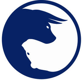 Ebook Tehnik Jitu Trading di Binary.com Profit 90% - 99%