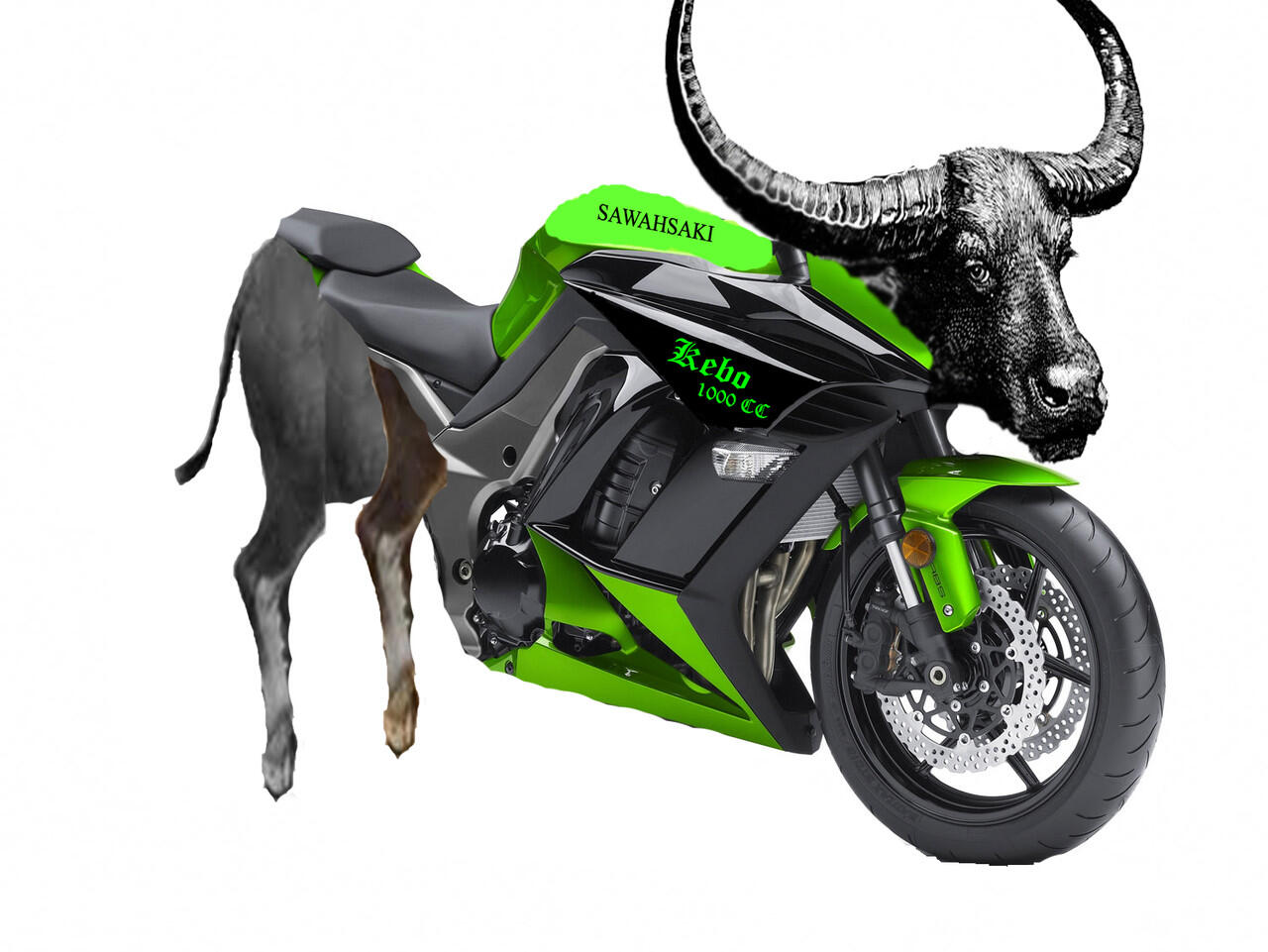 PENAMPAKAN KEBO 1000 CC, MANTAP!!!!