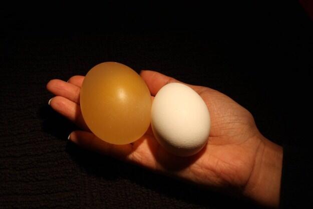 Hasil Percobaan Telur Direndam Di dalam Cuka &#91;cekibrot&#93;
