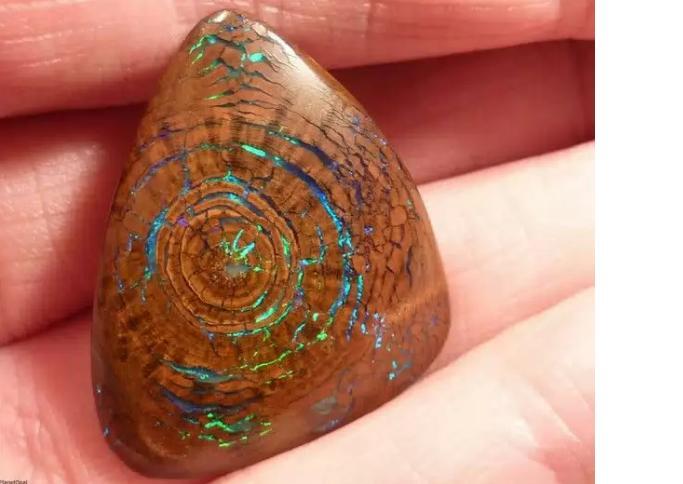 BATU OPAL LANGKA DITEMUKAN DARI FOSIL KAYU